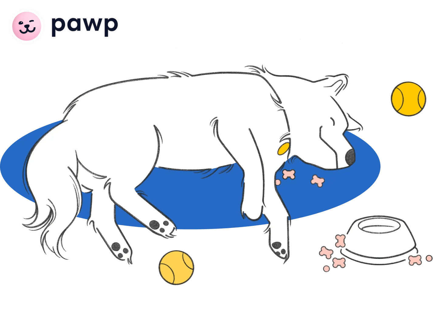 Pawp pet coverage review featuring a drawing of a dog sleeping