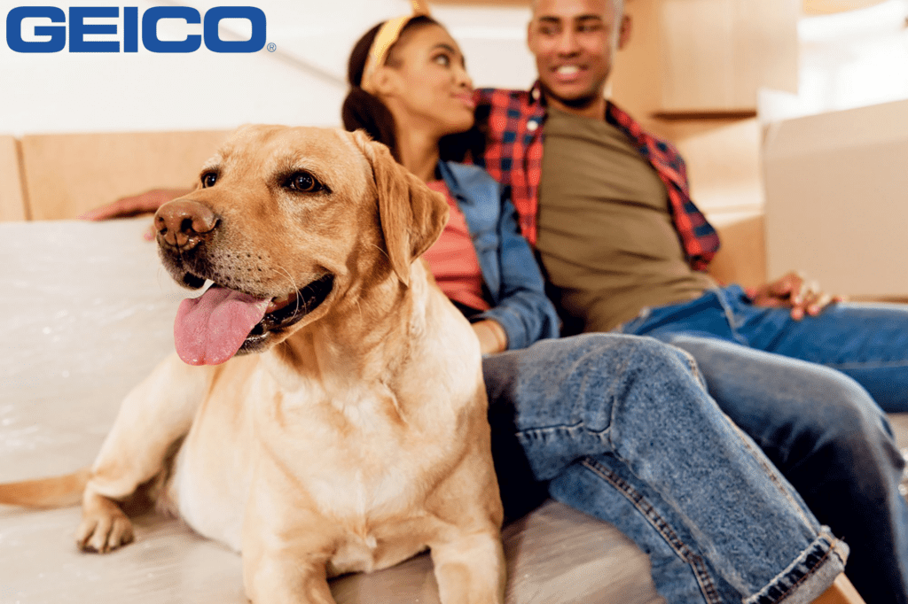 GEICO pet insurance featuring a couple lounging with their labrador retriever on a sofa