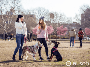 Eusoh Pet Coverage Review featuring two girls laughing together as they walk their dogs