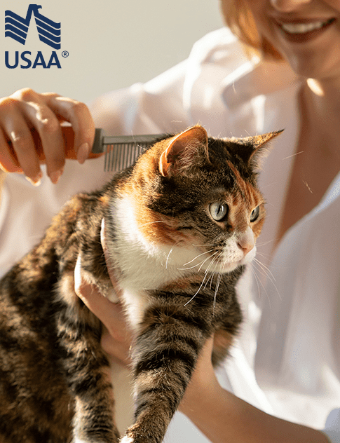 USAA pet coverage wellness featuring a groomer combing a cat