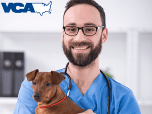 VCA Animal Hospitals review featuring a vet smiling and holding a puppy