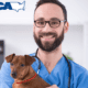 VCA Animal Hospitals review featuring a vet smiling and holding a puppy